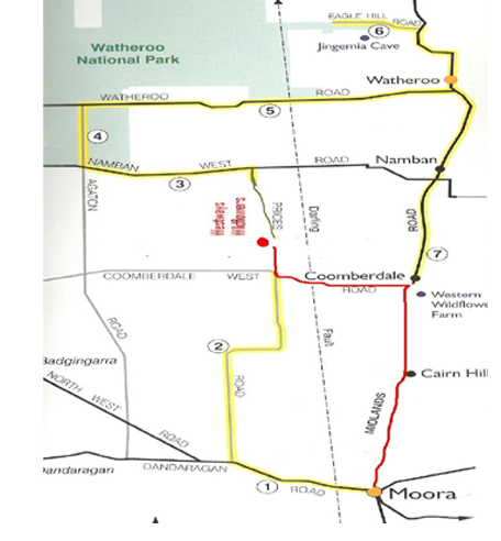 4wd-wildflower-track